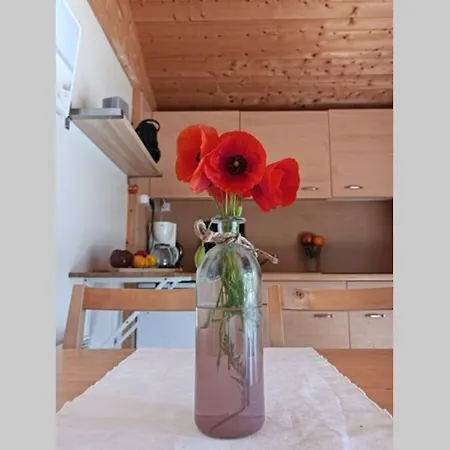 Chalet Chalet calme sur le Bassin d'Arcachon La Teste-de-Buch